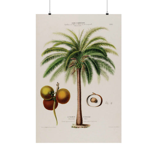 Le Palmier - Flower - The Palm Tree