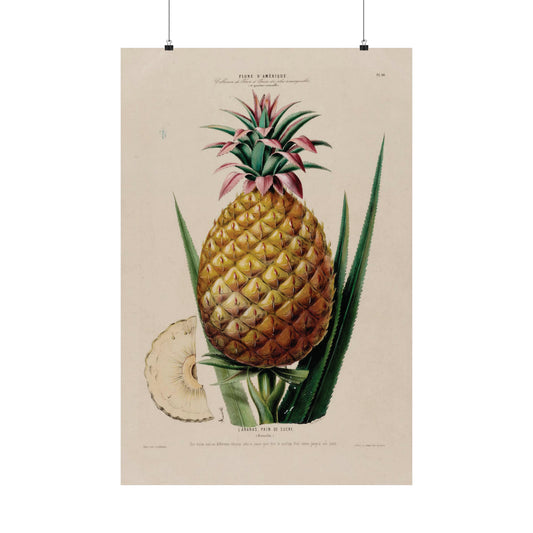 L'ANANA - Flower -   The Pineapple